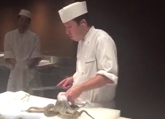 فيديو وصور: تقطيع أخطبوط حي في مطبخ آسيوي تثير موجة غضب صورة رقم 1