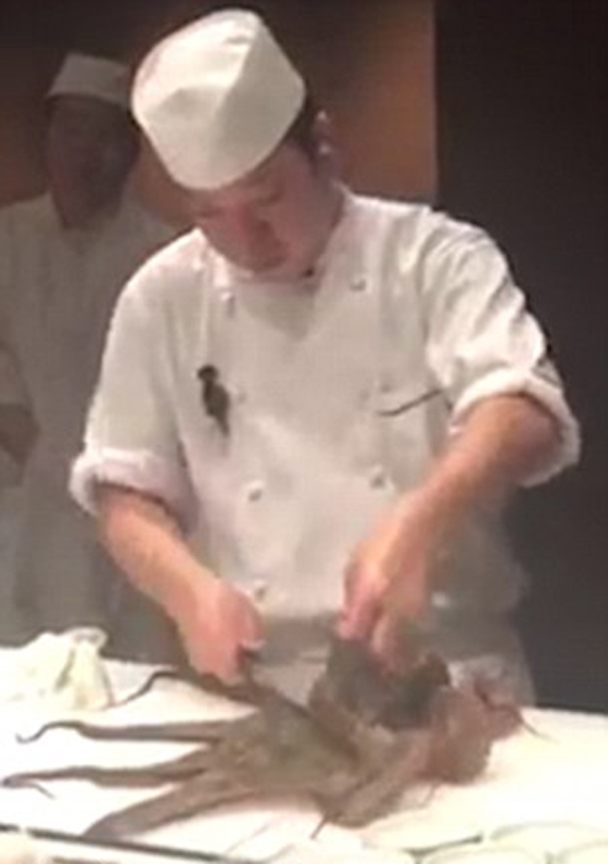 فيديو وصور: تقطيع أخطبوط حي في مطبخ آسيوي تثير موجة غضب صورة رقم 2