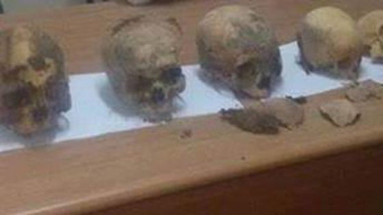 في أريحا.. سرقة جماجم الأموات وخلطها مع مواد مخدرة صورة رقم 1