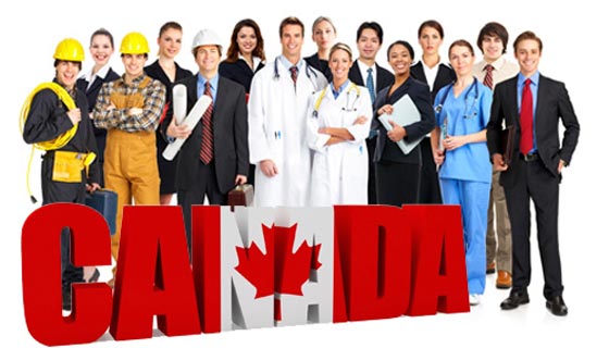أهم 10 وظائف مطلوبة في كندا صورة رقم 2
