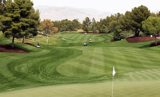 ملاعب غولف وفنادق.. هذه التفاصيل واخرى حول ثروة ترامب  صورة رقم 5