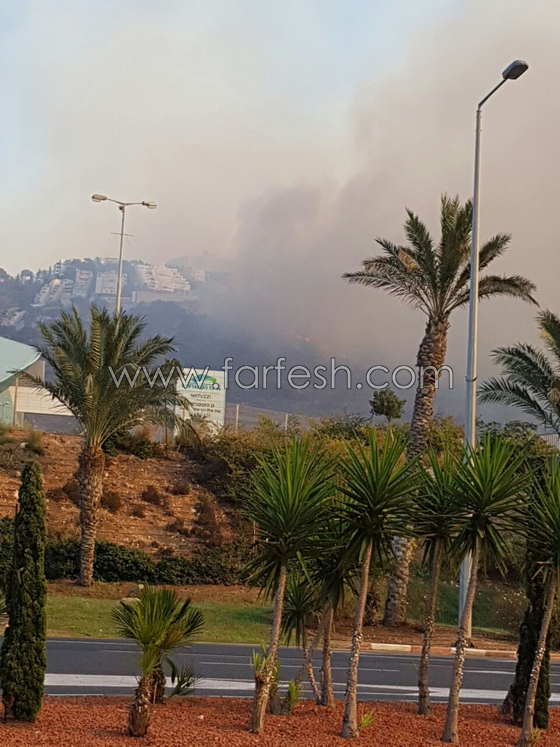 اسرائيل ترد على شماتة العرب من ضعفها في مواجهة الحرائق بآية قرآنية صورة رقم 10