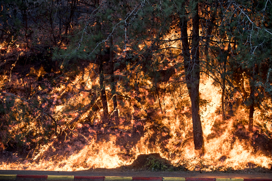 اسرائيل تستغيث في الحرائق وتغرق بمياه الامطار والفضائح والفساد صورة رقم 7