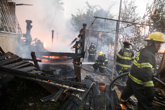 اسرائيل تحترق وتوجه الاتهامات للعرب بادعاء انها انتفاضة الحرائق! صورة رقم 8