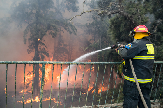 هل هذه هي الشرارة الاولى التي اشعلت الحرائق في اسرائيل؟! فيديو صورة رقم 17