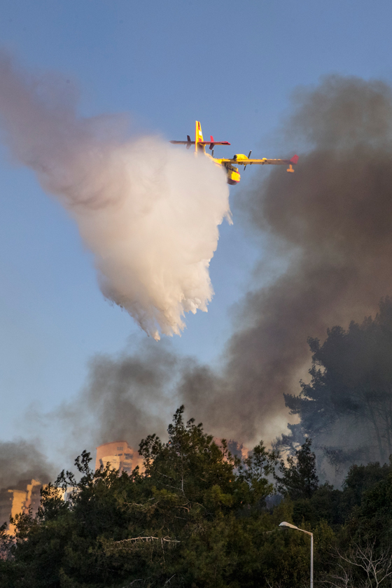 هل هذه هي الشرارة الاولى التي اشعلت الحرائق في اسرائيل؟! فيديو صورة رقم 15