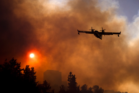 اسرائيل تستغيث في الحرائق وتغرق بمياه الامطار والفضائح والفساد صورة رقم 14