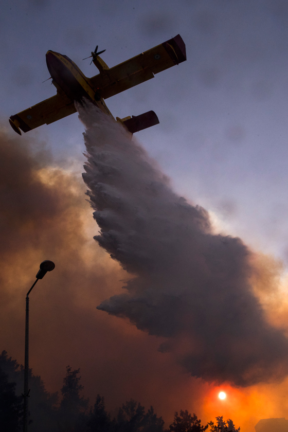 اسرائيل تحترق وتوجه الاتهامات للعرب بادعاء انها انتفاضة الحرائق! صورة رقم 19