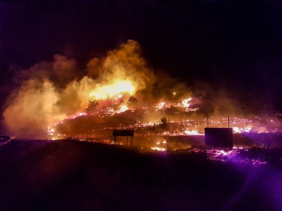 هل هذه هي الشرارة الاولى التي اشعلت الحرائق في اسرائيل؟! فيديو صورة رقم 1