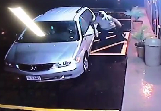 فيديو طريف.. شاهد اغبى لص في العالم لم يفلح باقتحام متجر! صورة رقم 1