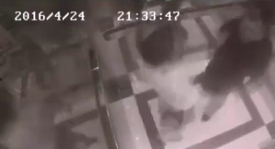 فتاة تلقن شابا درسا قاسيا حين حاول التحرش بها داخل مصعد.. فيديو صورة رقم 2