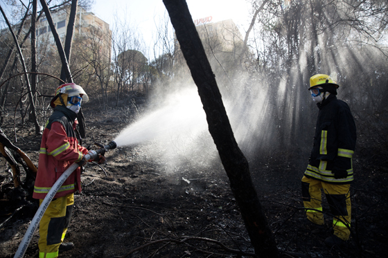 المزيد من الحرائق تستعر في اسرائيل وسوبر تانكر تستعد لاول طلعاتها صورة رقم 10