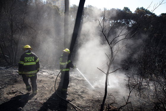 المزيد من الحرائق تستعر في اسرائيل وسوبر تانكر تستعد لاول طلعاتها صورة رقم 12