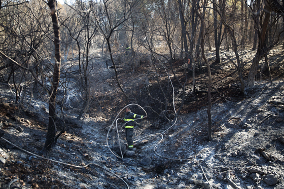 المزيد من الحرائق تستعر في اسرائيل وسوبر تانكر تستعد لاول طلعاتها صورة رقم 14