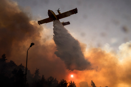 اسرائيل تشكر الدول التي ساعدتها بإطفاء حرائقها ولا تذكر فلسطين! صورة رقم 11