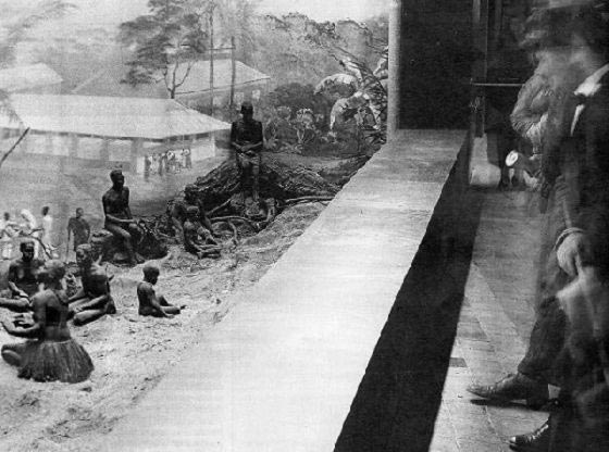  صور مزعجة جدا: بشاعة العنصرية ضد السود في حدائق الحيوان البشرية! صورة رقم 2