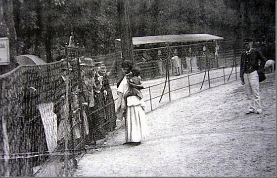  صور مزعجة جدا: بشاعة العنصرية ضد السود في حدائق الحيوان البشرية! صورة رقم 10