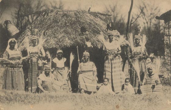  صور مزعجة جدا: بشاعة العنصرية ضد السود في حدائق الحيوان البشرية! صورة رقم 1