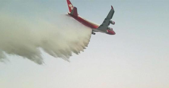 الرئيس الاسرائيلي يشكر اردوغان على المساعدة في اطفاء الحرائق صورة رقم 18
