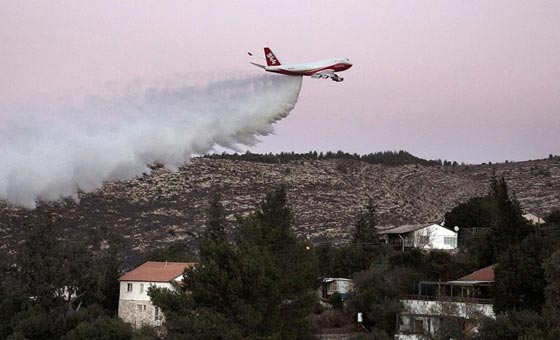 الرئيس الاسرائيلي يشكر اردوغان على المساعدة في اطفاء الحرائق صورة رقم 17