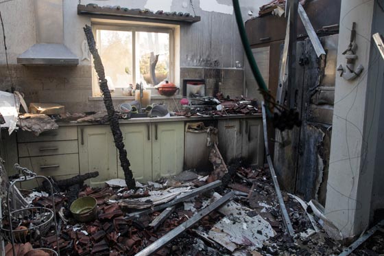  حرائق إسرائيل: نيران مستعرة اكلت الاخضر واليابس في 5 أيام  صورة رقم 13