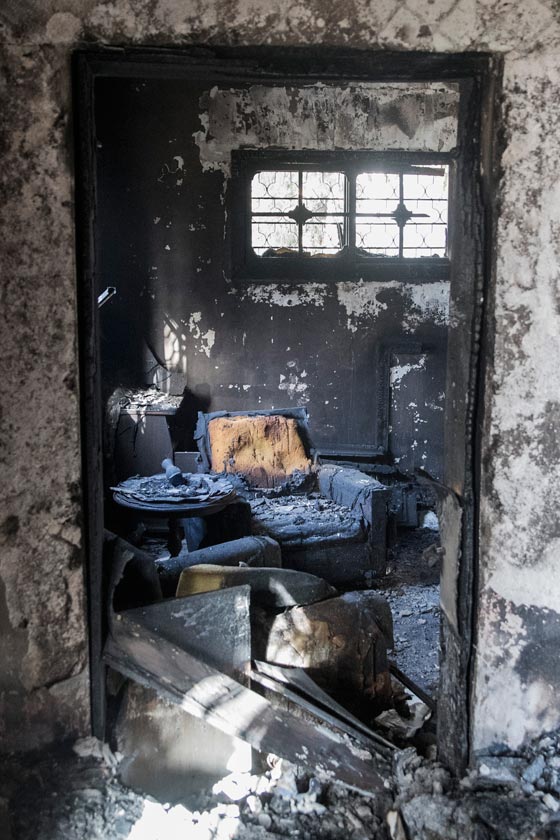  حرائق إسرائيل: نيران مستعرة اكلت الاخضر واليابس في 5 أيام  صورة رقم 16