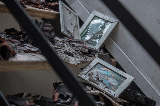  حرائق إسرائيل: نيران مستعرة اكلت الاخضر واليابس في 5 أيام  صورة رقم 17