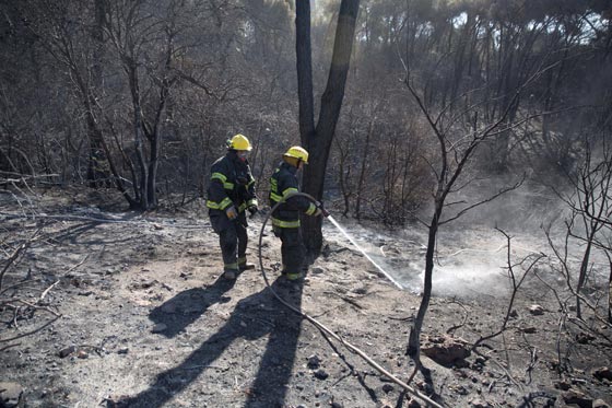 اسرائيل تشكر الدول التي ساعدتها بإطفاء حرائقها ولا تذكر فلسطين! صورة رقم 7