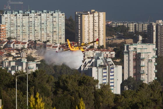  حرائق إسرائيل: نيران مستعرة اكلت الاخضر واليابس في 5 أيام  صورة رقم 21