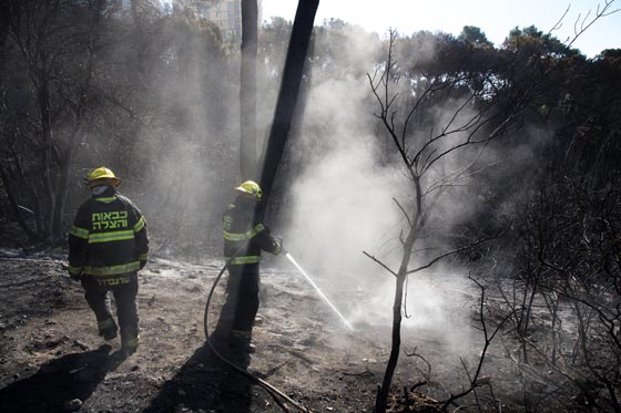 اسرائيل تشكر الدول التي ساعدتها بإطفاء حرائقها ولا تذكر فلسطين! صورة رقم 8