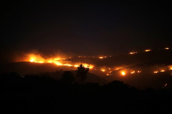  حرائق إسرائيل: نيران مستعرة اكلت الاخضر واليابس في 5 أيام  صورة رقم 2
