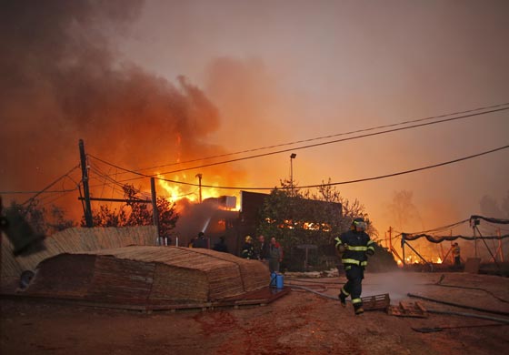  حرائق إسرائيل: نيران مستعرة اكلت الاخضر واليابس في 5 أيام  صورة رقم 3