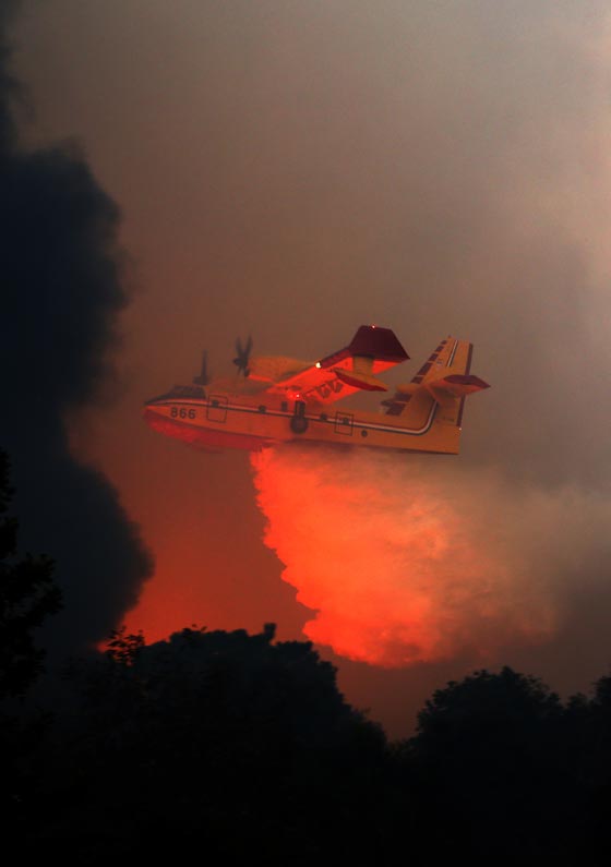  حرائق إسرائيل: نيران مستعرة اكلت الاخضر واليابس في 5 أيام  صورة رقم 4