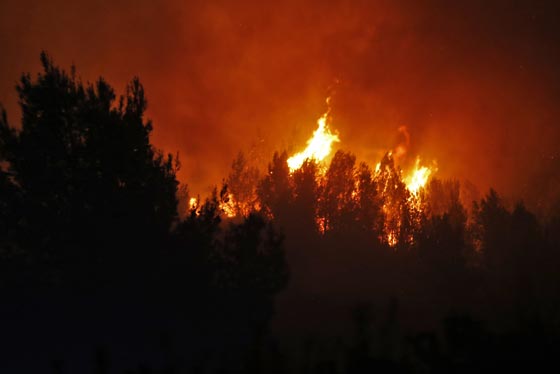  حرائق إسرائيل: نيران مستعرة اكلت الاخضر واليابس في 5 أيام  صورة رقم 5