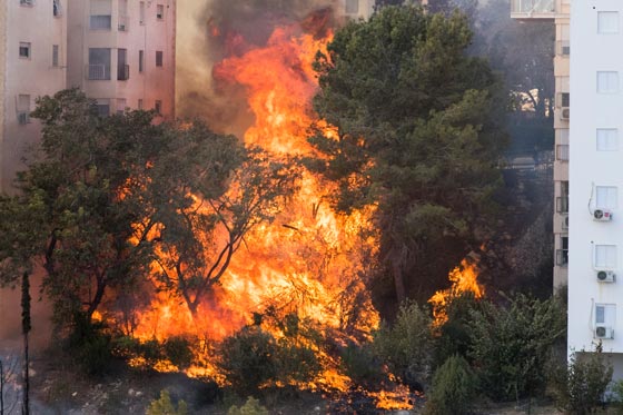 موجة الحرائق التي شهدتها اسرائيل تسببت بأضرار فادحة صورة رقم 1