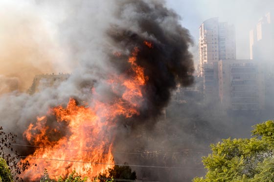  حرائق إسرائيل: نيران مستعرة اكلت الاخضر واليابس في 5 أيام  صورة رقم 7