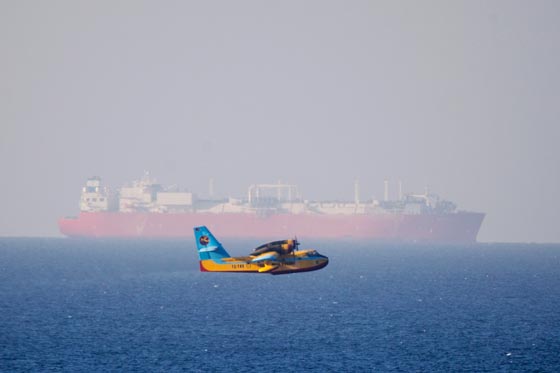  حرائق إسرائيل: نيران مستعرة اكلت الاخضر واليابس في 5 أيام  صورة رقم 29