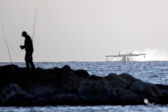  حرائق إسرائيل: نيران مستعرة اكلت الاخضر واليابس في 5 أيام  صورة رقم 31