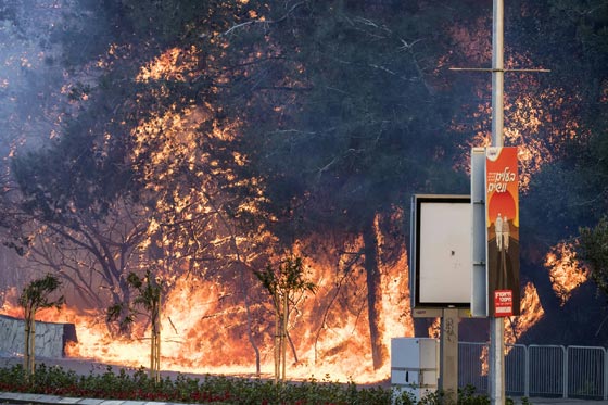 موجة الحرائق التي شهدتها اسرائيل تسببت بأضرار فادحة صورة رقم 2