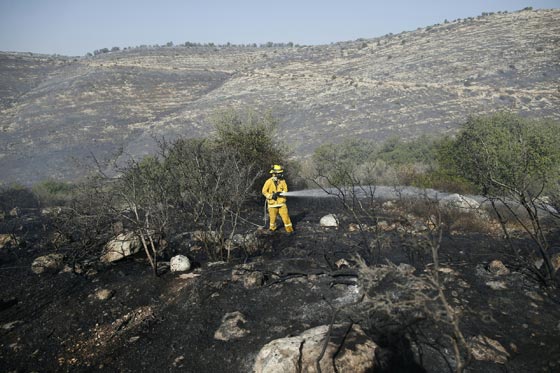موجة الحرائق التي شهدتها اسرائيل تسببت بأضرار فادحة صورة رقم 9