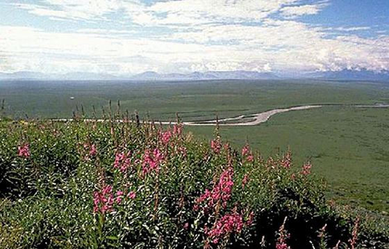 معقول؟ 10 مدن ترحب بالمهاجرين وتدفع لك المال لتعيش فيها!  صورة رقم 7