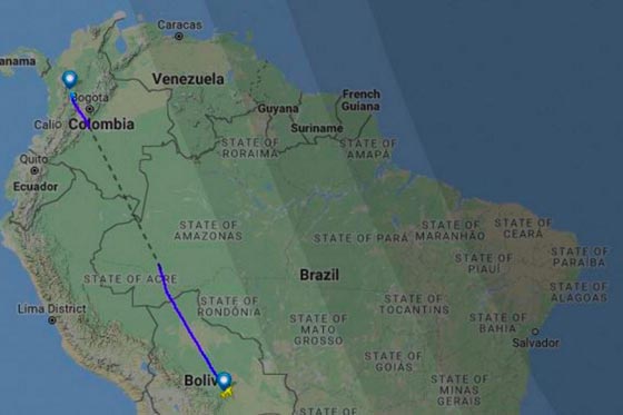 فاجعة.. تحطم طائرة تقل فريق كرة قدم برازيلي في كولومبيا ومصرع غالبيتهم صورة رقم 5