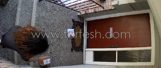 بالفيديو.. فتاة تسرق الطرود البريدية من امام المساكن صورة رقم 4