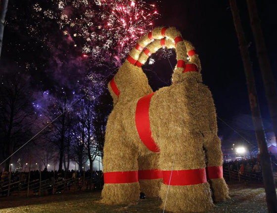 حرق تيس الميلاد في عامه الـ 50 صورة رقم 5