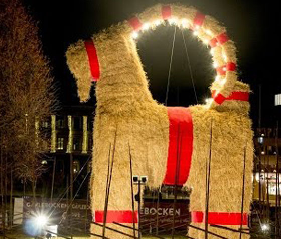 حرق تيس الميلاد في عامه الـ 50 صورة رقم 7