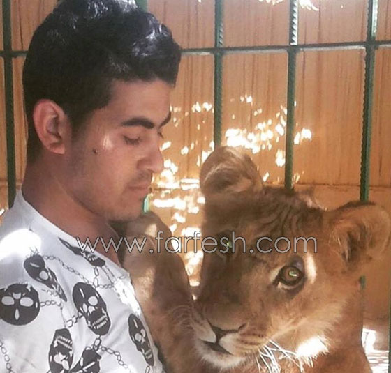 شاهدوا لحظة افتراس اسد لمدربه بسيرك مصري  صورة رقم 8