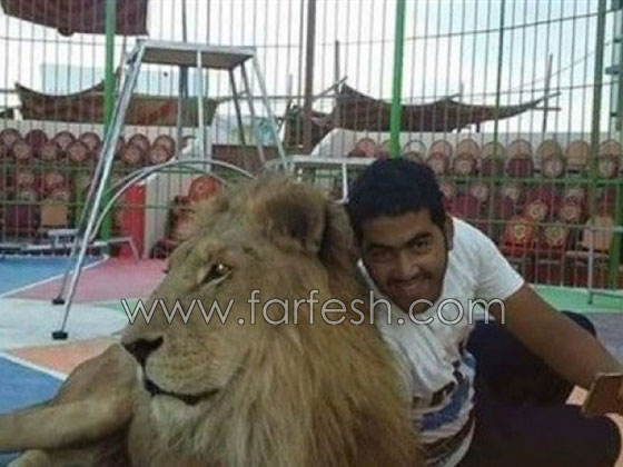 شاهدوا لحظة افتراس اسد لمدربه بسيرك مصري  صورة رقم 9