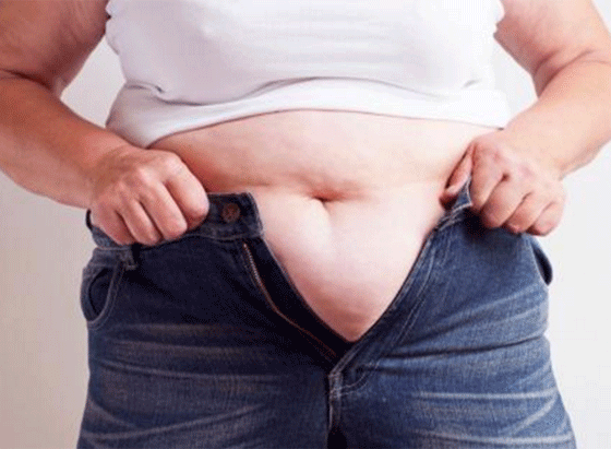 عالم الكون الشهير ستيفن هوكينغ يحذر البشرية من خطورة السمنة! صورة رقم 1