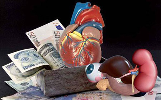 مصر: 5 جرائم بلا عقوبة منها تبادل الزوجات (الزنا) وسرقة الأعضاء! صورة رقم 5