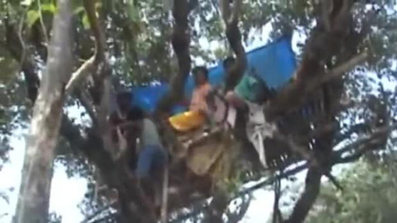 فيديو صادم: عائلات هندية تعيش فوق الأشجار هربا من هجوم الفيلة صورة رقم 1